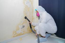 Best Water Damage & Mold Remediation  in Crosby, TX